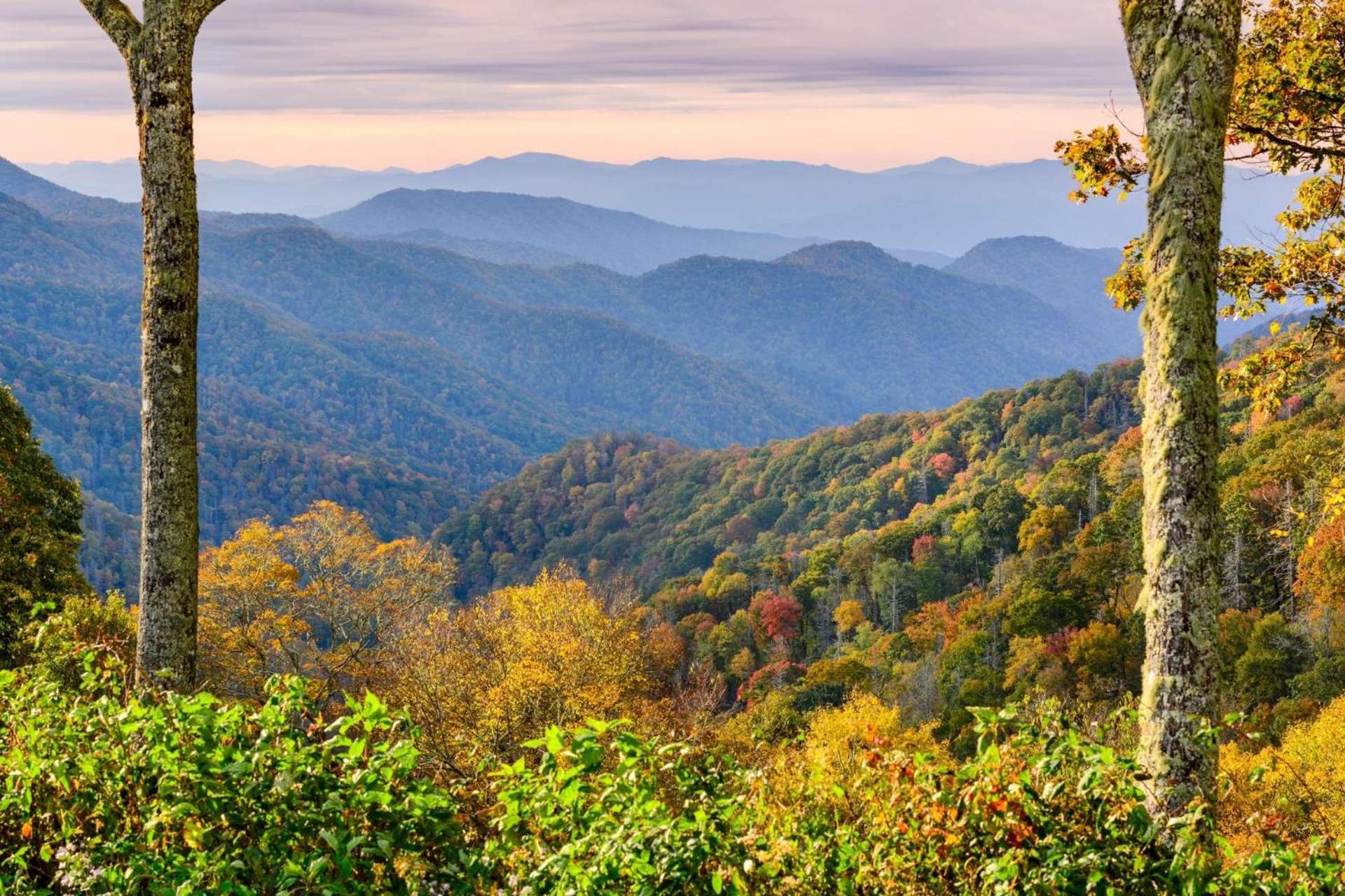 Knot A Kabin Pigeon Forge Buitenkant foto