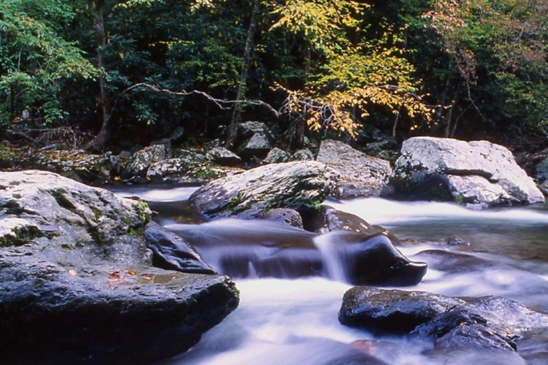 Knot A Kabin Pigeon Forge Buitenkant foto